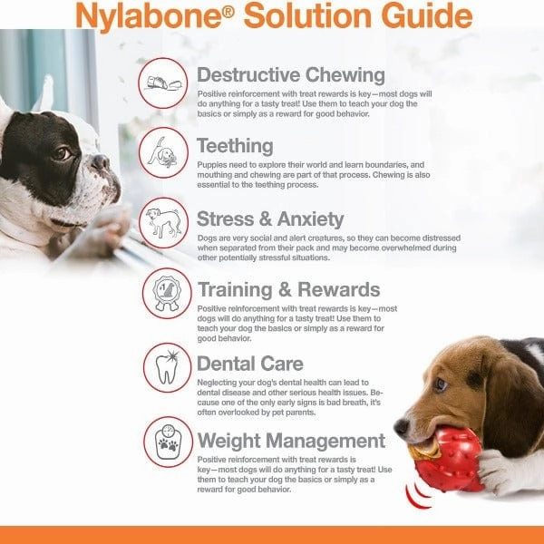 Nylabone Durachew Big Chew; Beef Bone Original