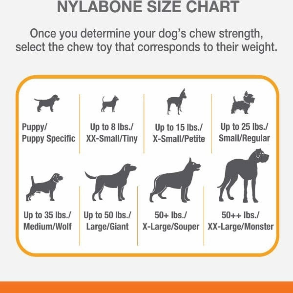 Nylabone Flexichew Moderate Chew Chicken Chew Toy