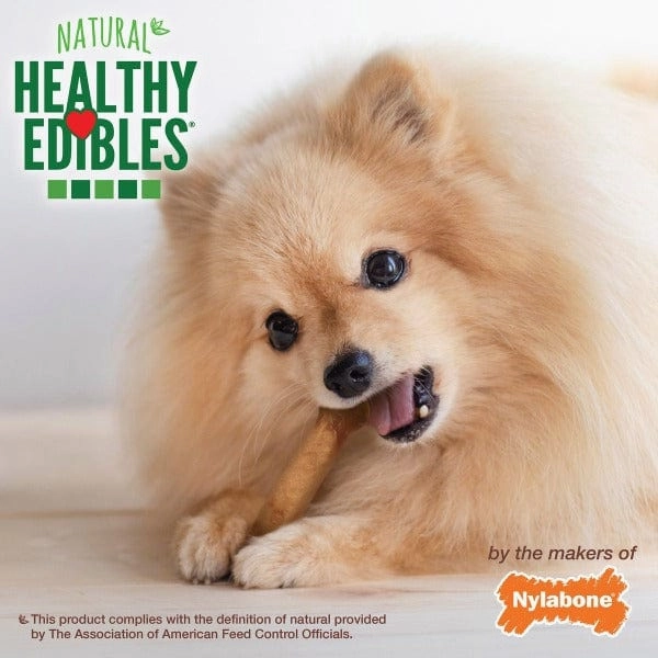 Nylabone Healthy Edibles Roast Beef Flavour Petite Dog Chews