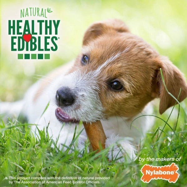 Nylabone Healthy Edibles Roast Beef Wolf Chews