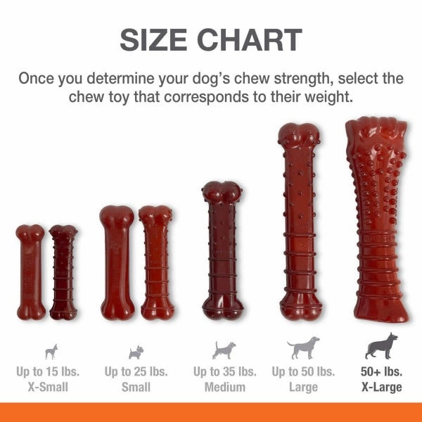 Nylabone Power Chew Basted Blast Dual Flavored Dog Chew Toys