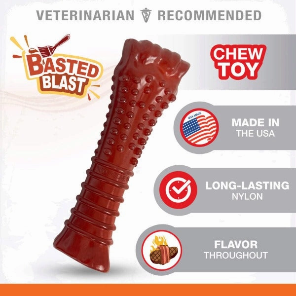 Nylabone Power Chew Basted Blast Dual Flavored Dog Chew Toys