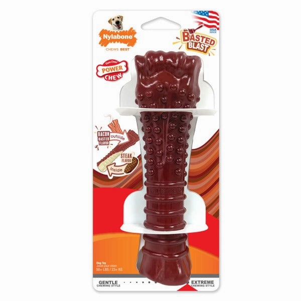 Nylabone Power Chew Basted Blast Dual Flavored Dog Chew Toys