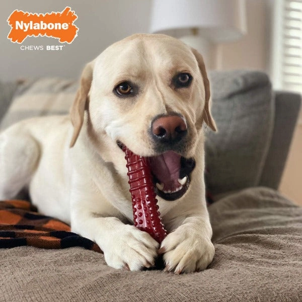 Nylabone Power Chew Basted Blast Dual Flavored Dog Chew Toys