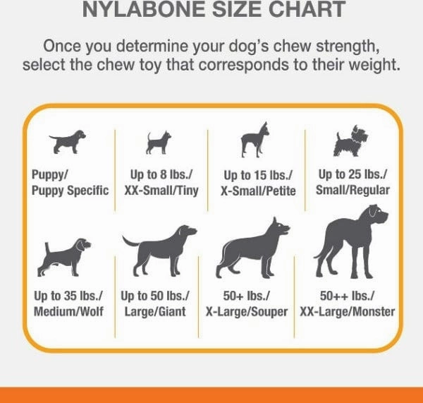Nylabone Power Chew Dental Dinosaur Dog Toy