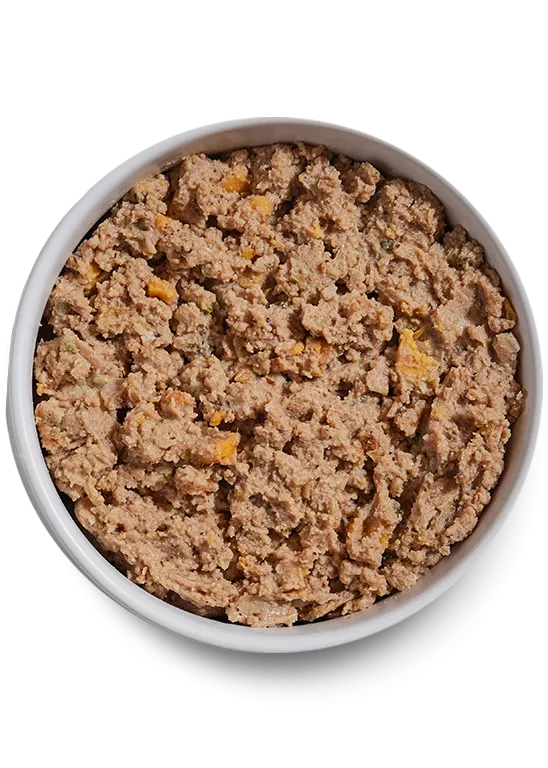 Open Farm Grain Free Surf & Turf Pate Wet Dog Food