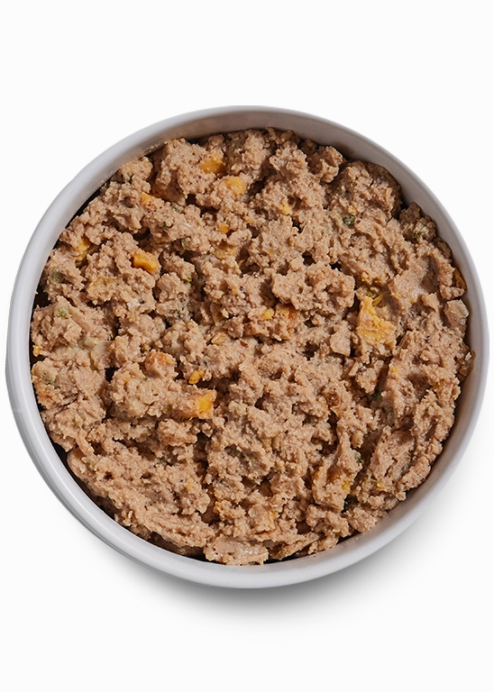 Open Farm Grain Free Chicken & Salmon Pate Wet Dog Food