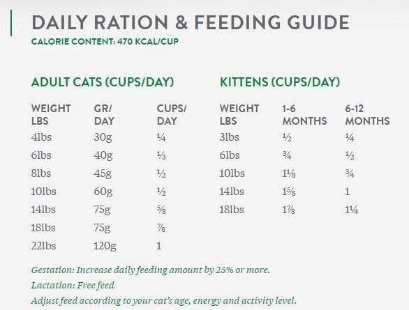 Open Farm Grain Free Homestead Turkey and Chicken Recipe Dry Cat Food