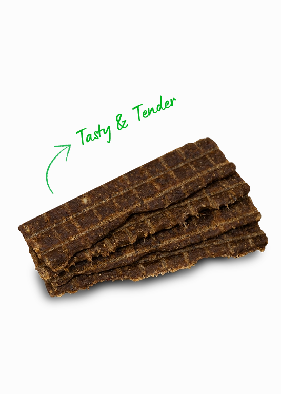 Open Farm Grain Free Jerky Strips Chicken Dog Treats