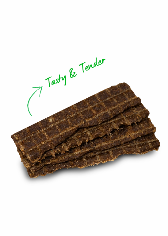 Open Farm Grain Free Jerky Strips Grass-Fed Beef Dog Treats