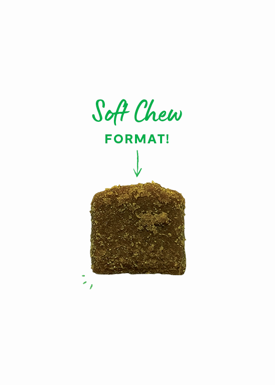Open Farm Hip & Joint Supplement Chews for Dogs