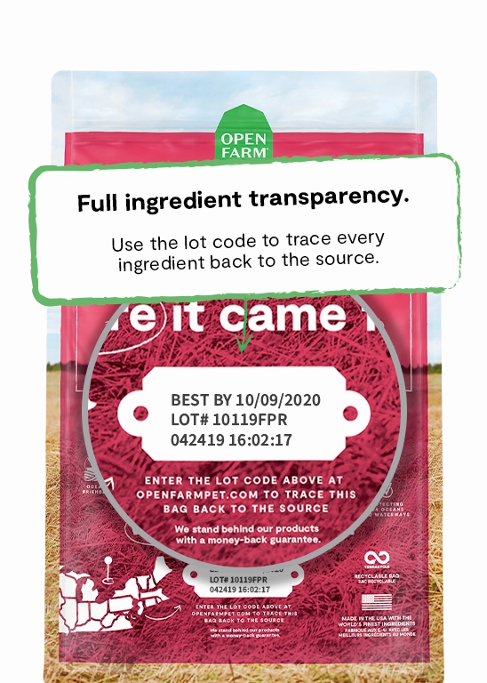 Open Farm Wild Caught Salmon & Ancient Grains Dry Dog Food