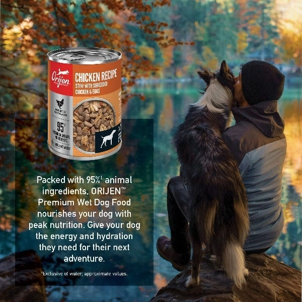 Orijen Chicken Recipe Canned Dog Food