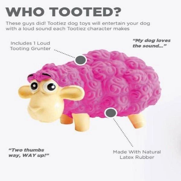 Outward Hound Tootiez Dog Toy