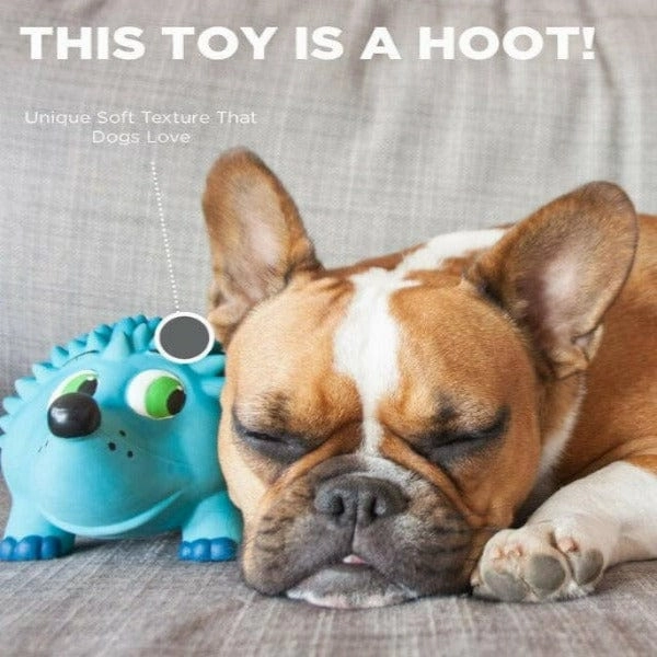 Outward Hound Tootiez Dog Toy