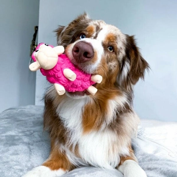 Outward Hound Tootiez Dog Toy