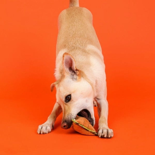 Outward Hound Xtreme Seamz Small Dog Toy