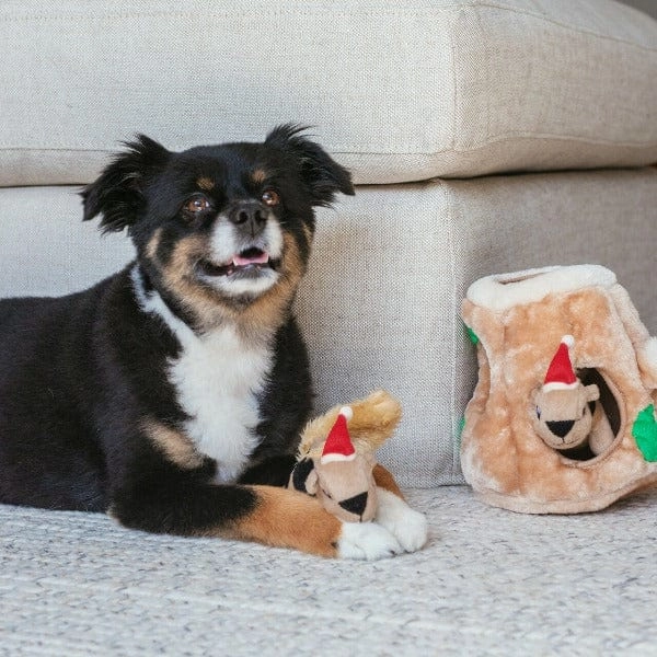 Outward Houndz Hide-a-Squirrel Holiday Dog Toy