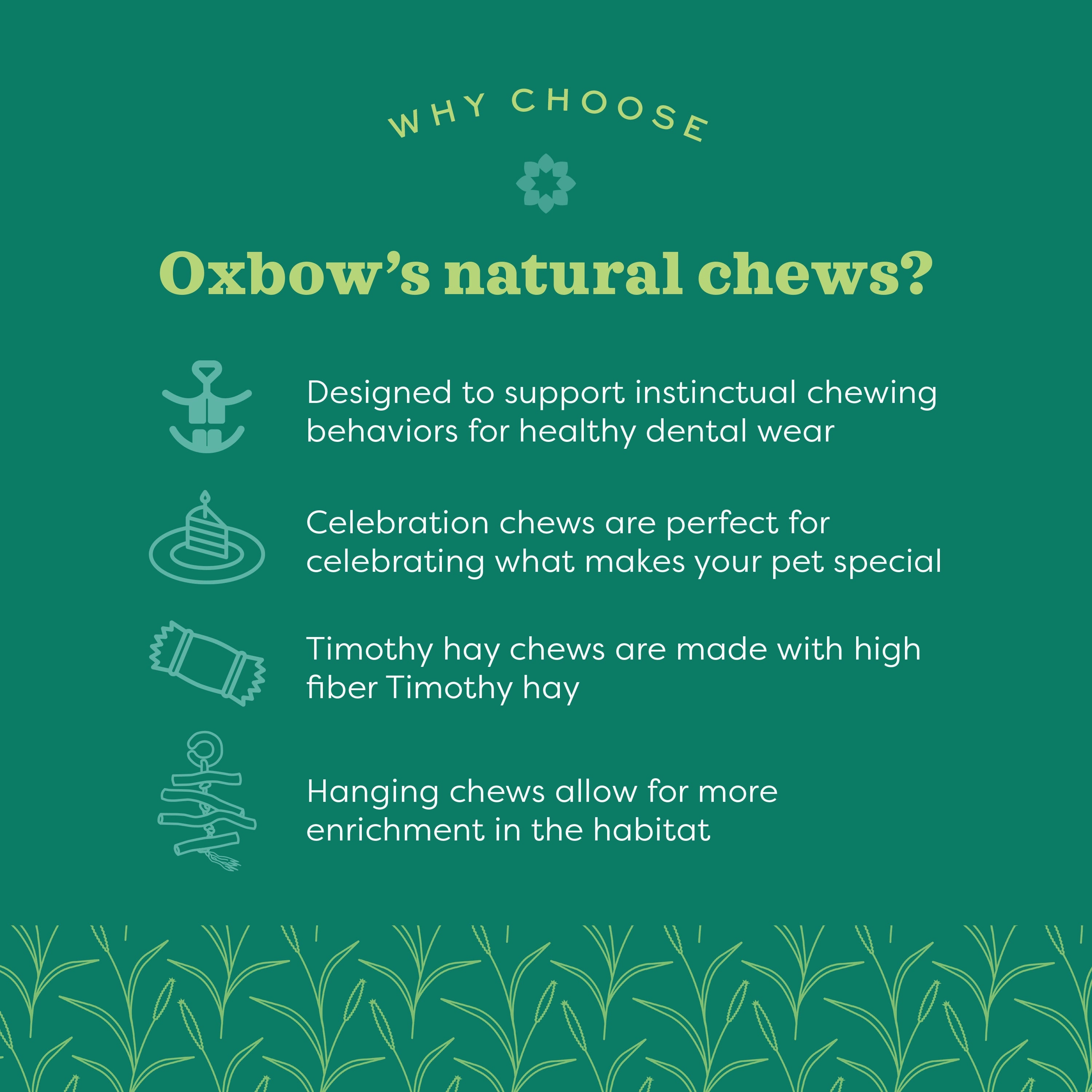 Oxbow Animal Health Apple Stick Bouquet
