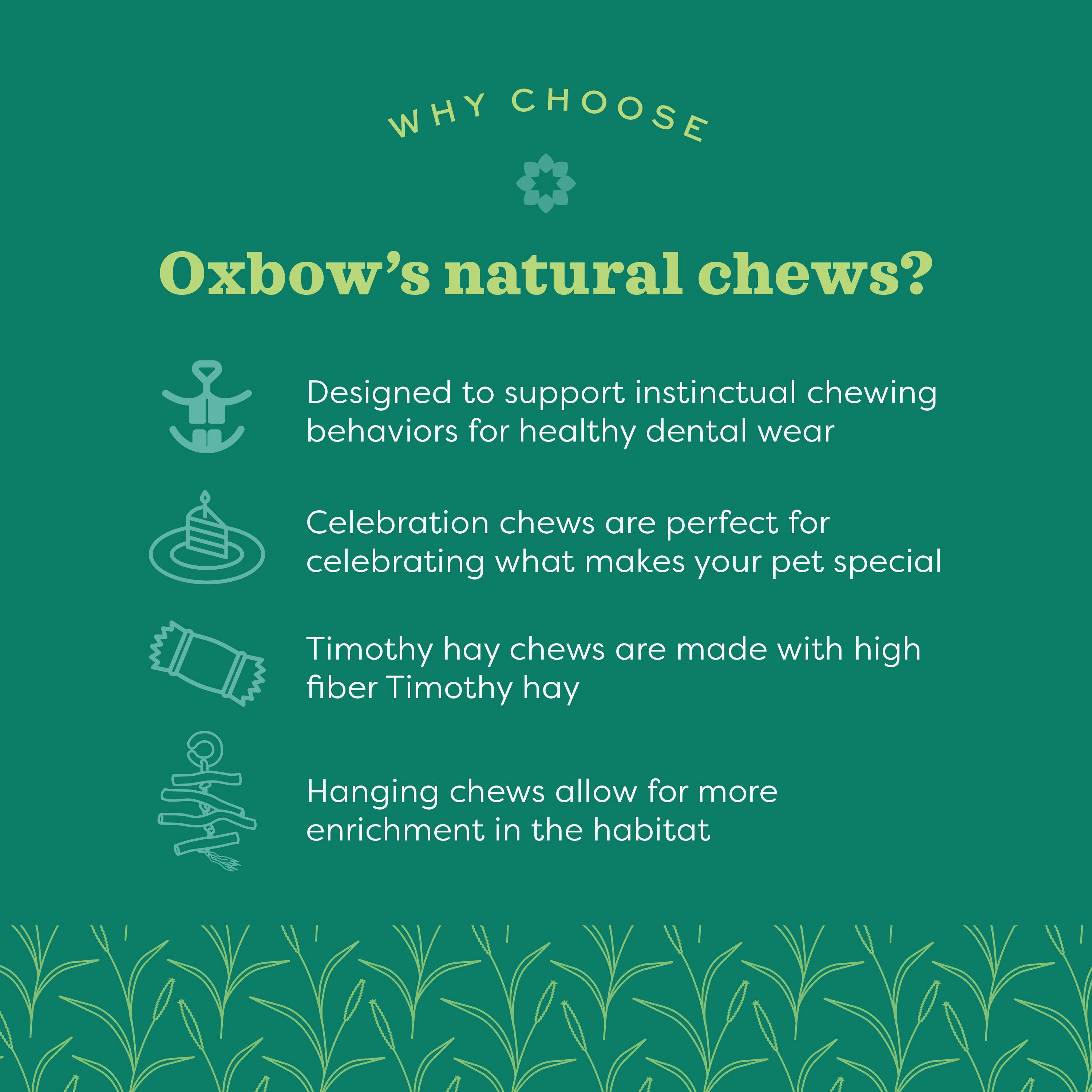 Oxbow Animal Health Enriched Life Timothy Waffle