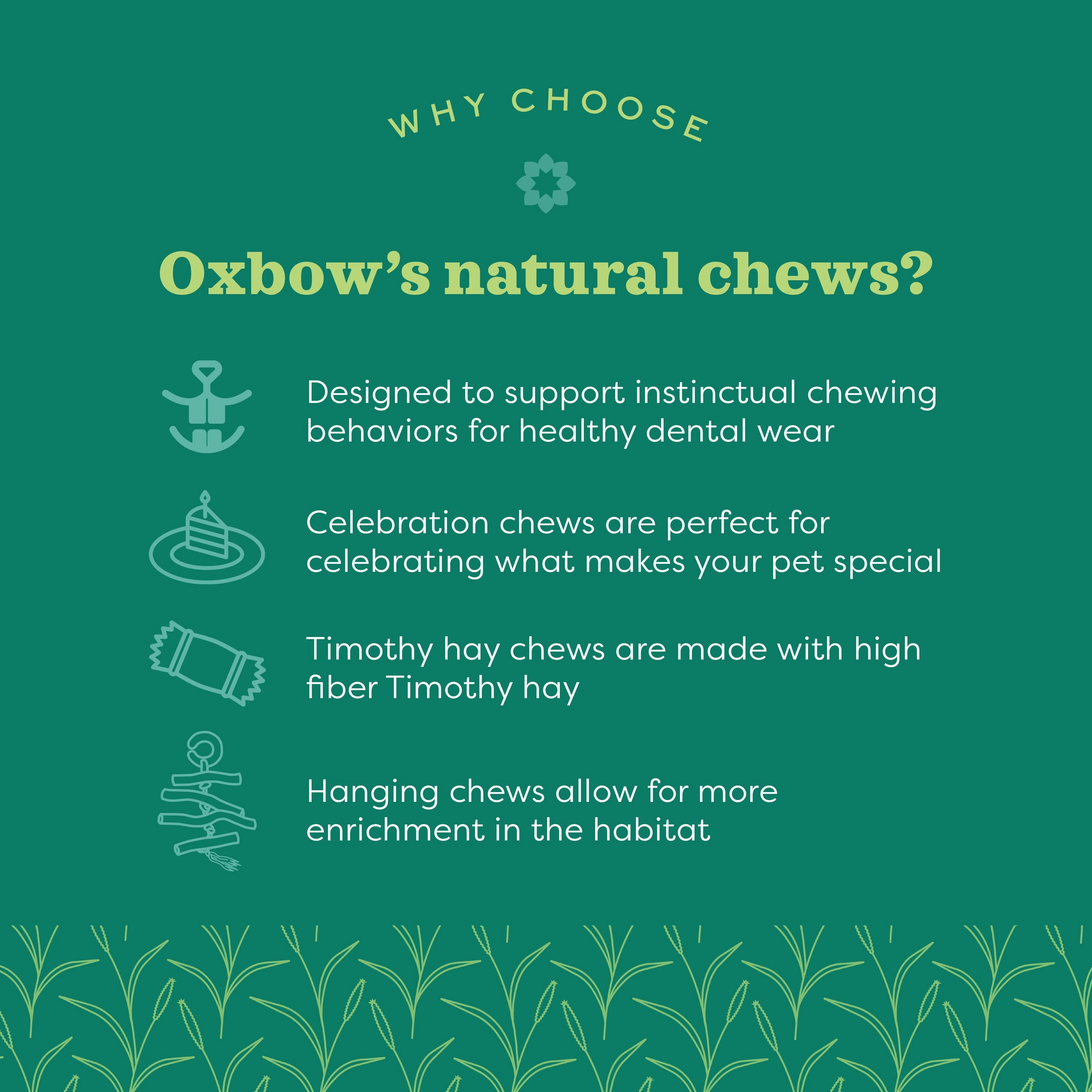 Oxbow Animal Health Enriched Life Timothy Waffle