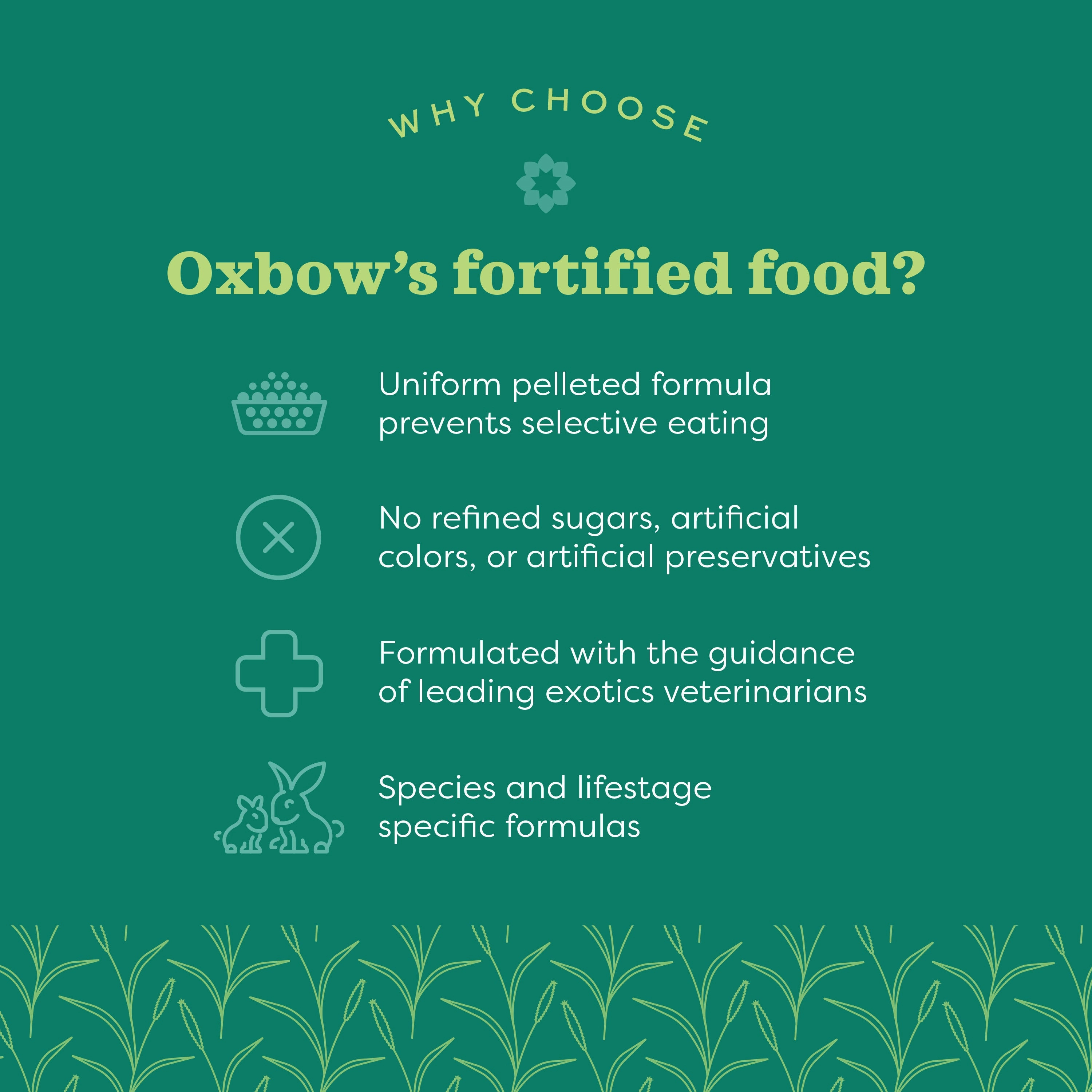 Oxbow Animal Health Essentials Young Rabbit Food 5lb
