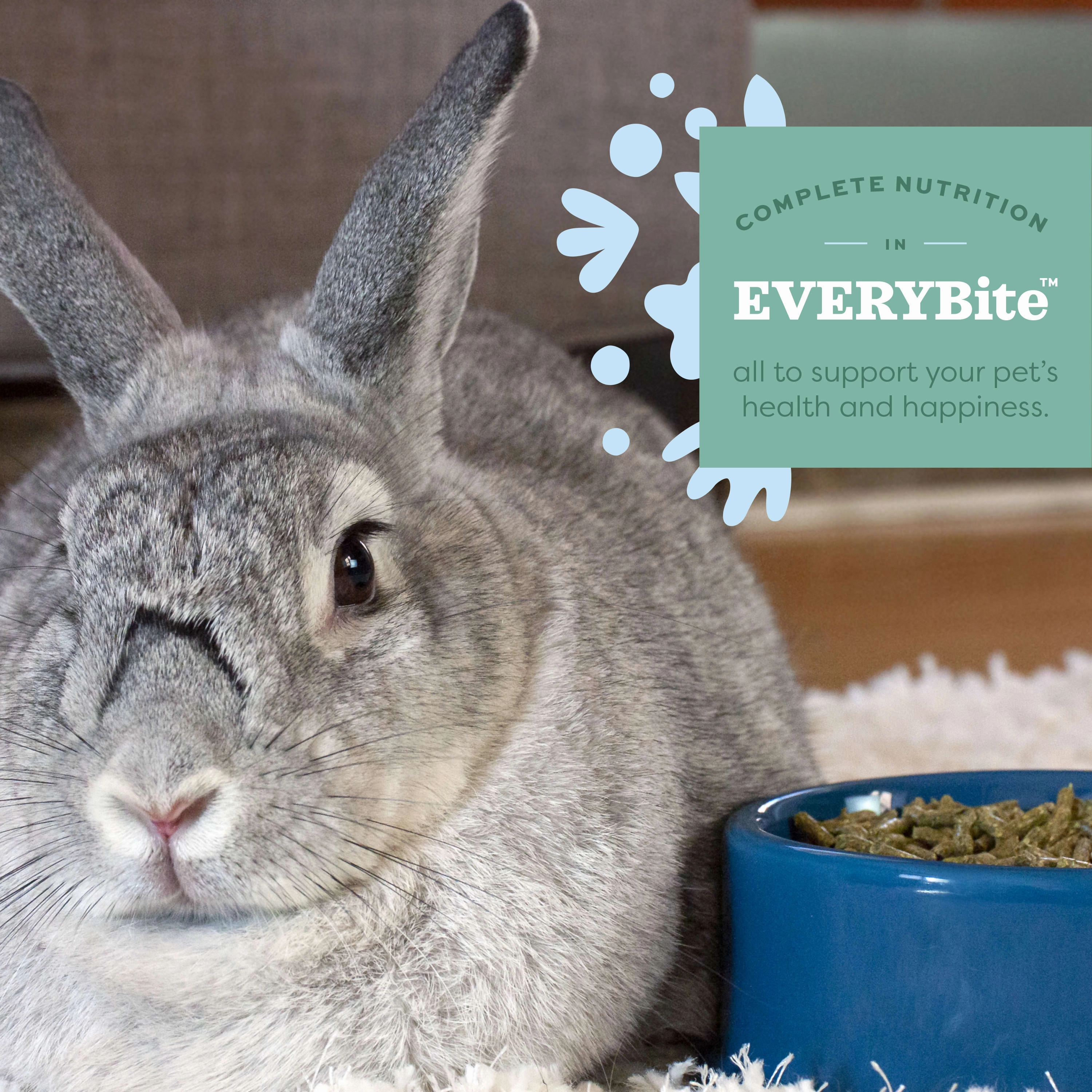 Oxbow Animal Health Essentials Young Rabbit Food 5lb