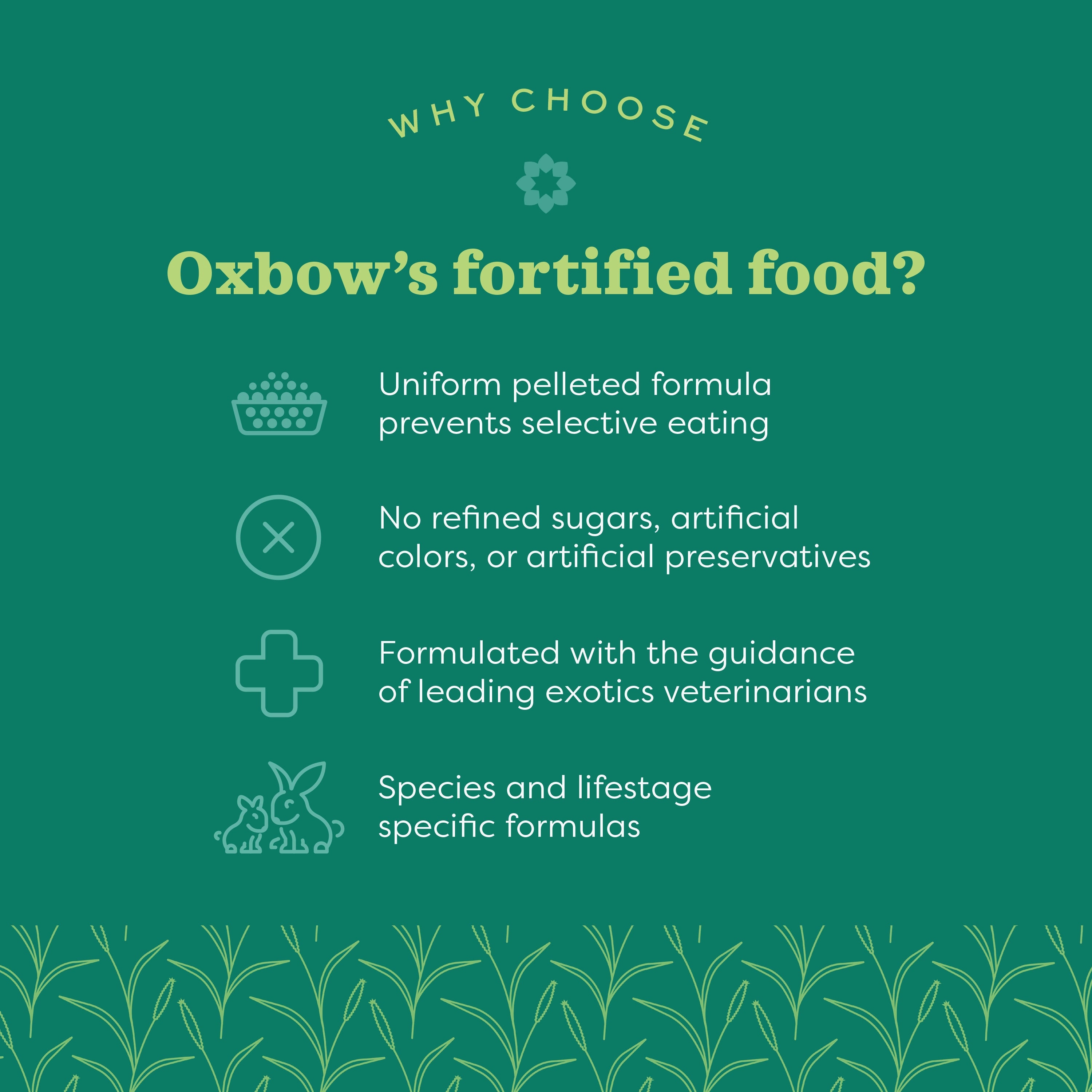 Oxbow Animal Health Essentials Young Rabbit Food 5lb