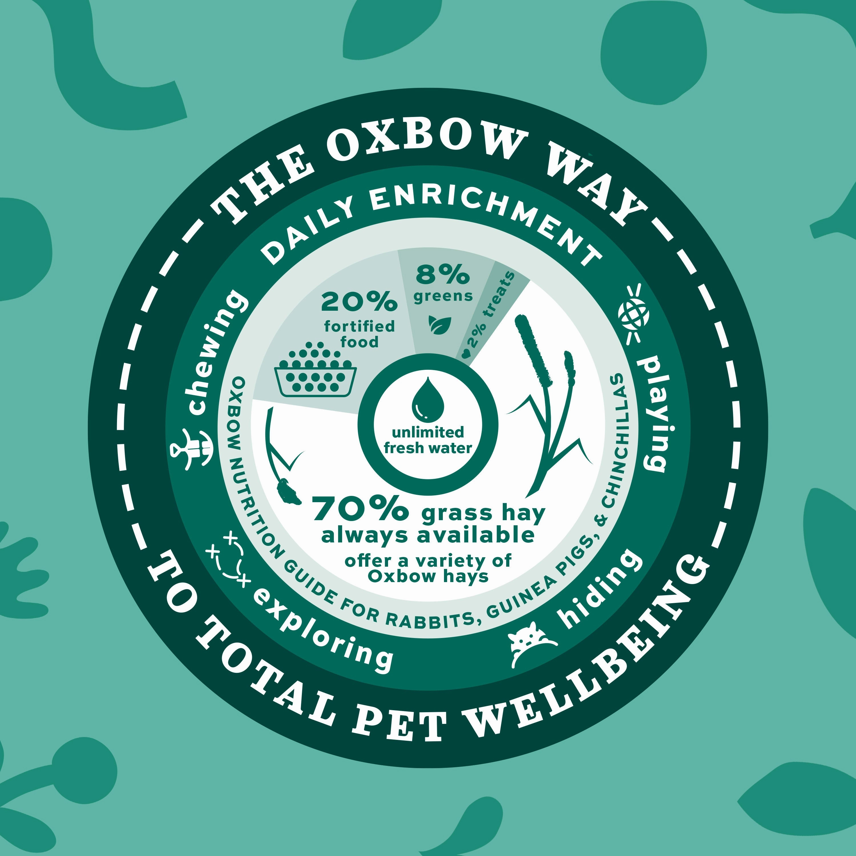 Oxbow Animal Health Essentials Young Rabbit Food 5lb