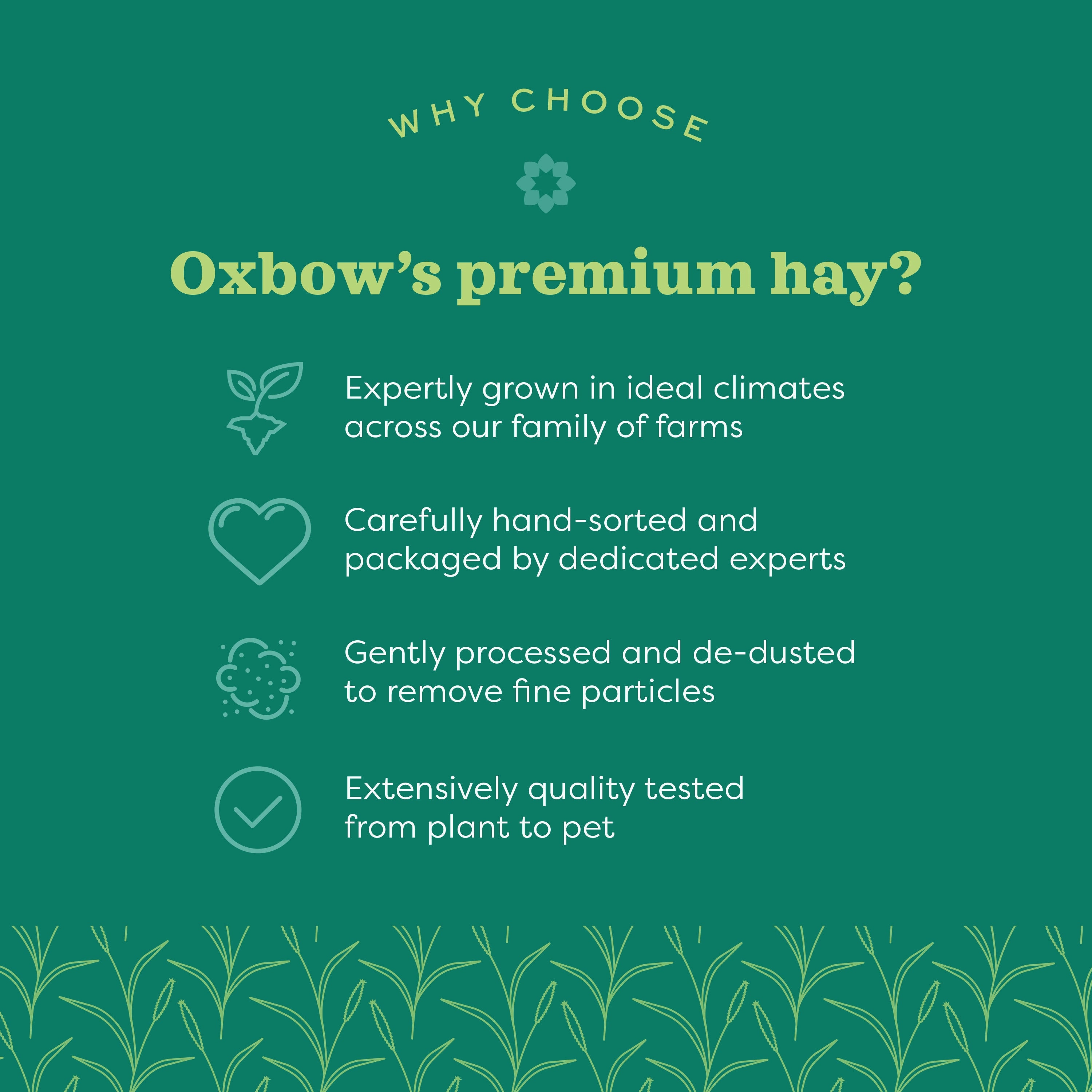 Oxbow Animal Health Western Timothy Hay 90oz