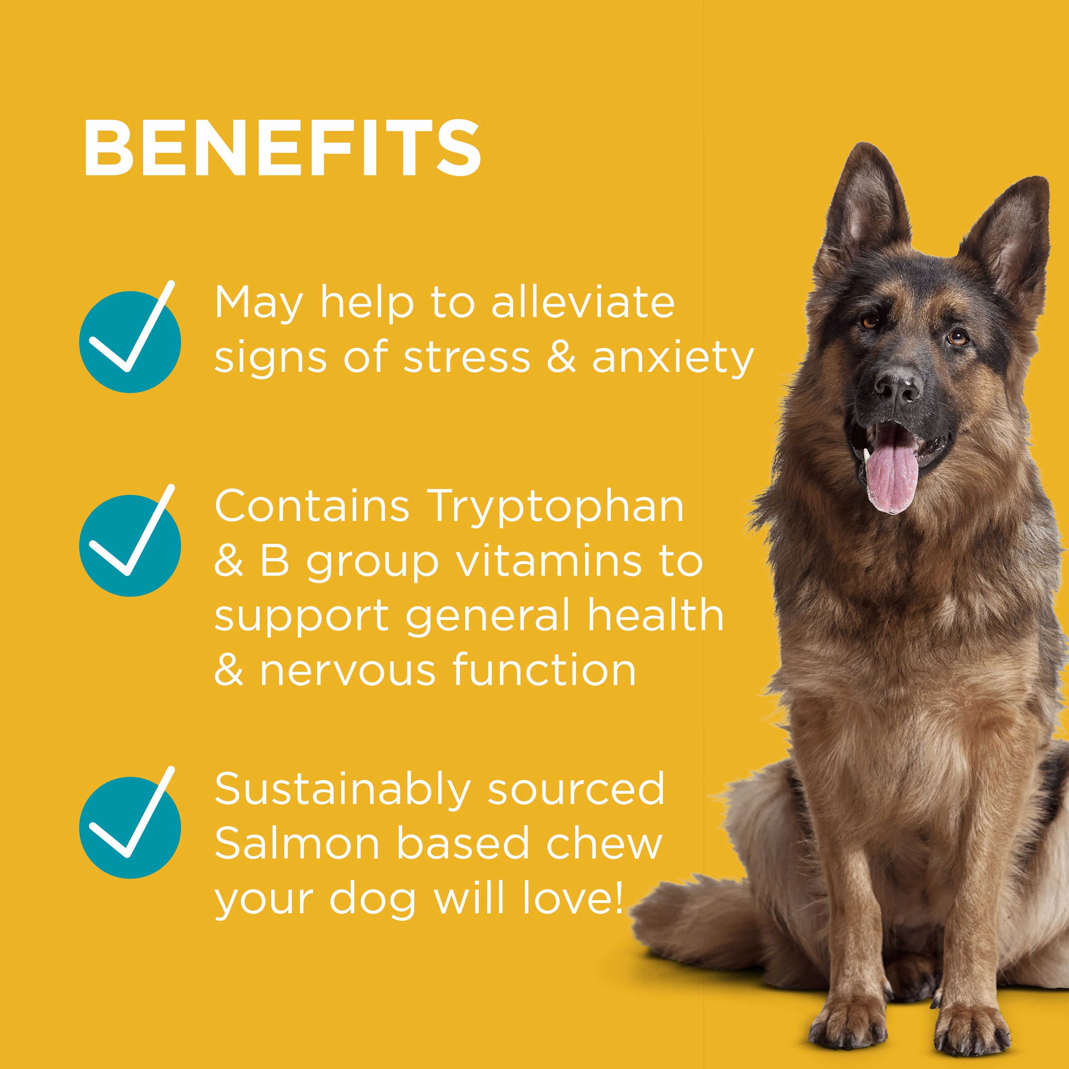 PAW - Complete Calm Multivitamins for Dogs (60pk)