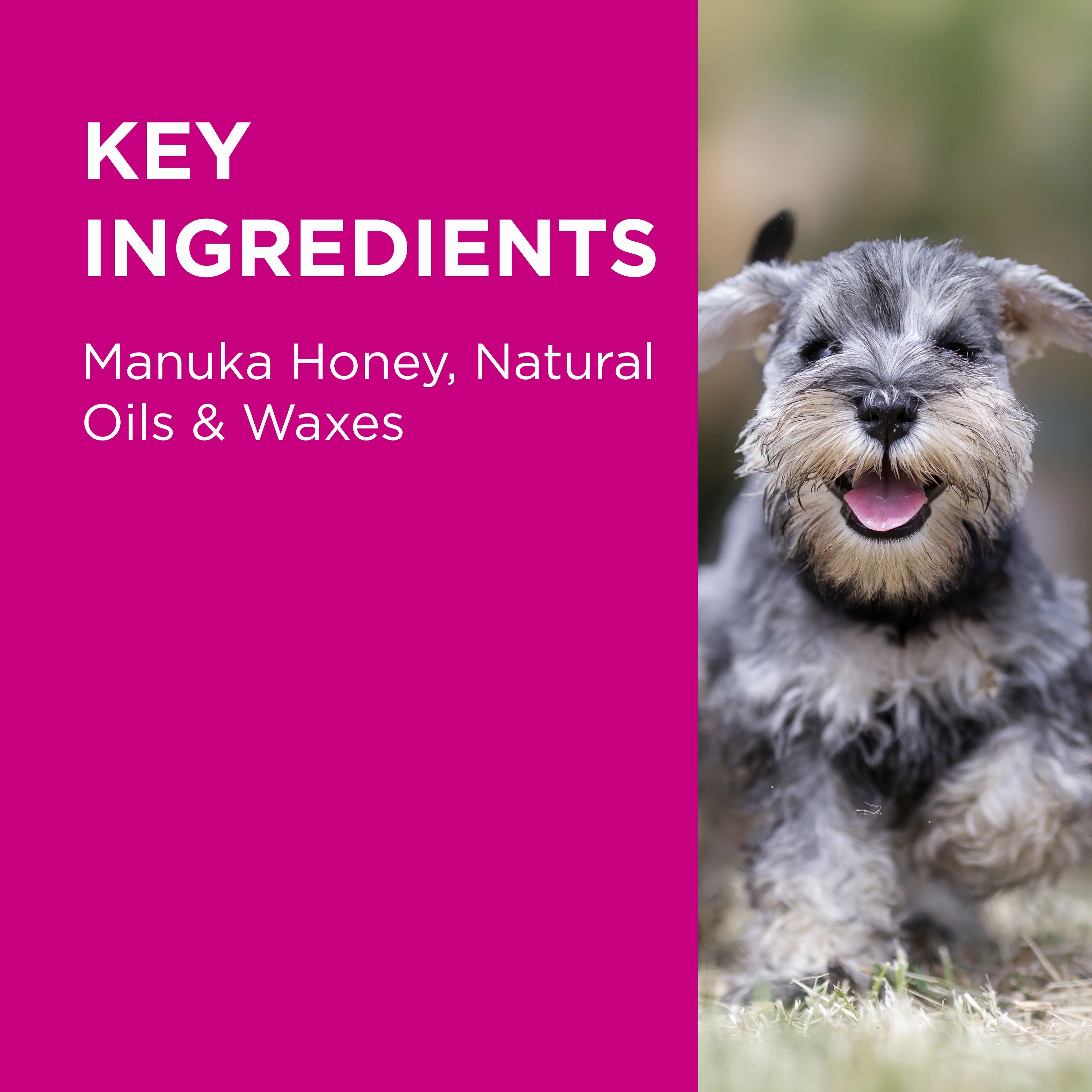 PAW - Manuka Wound Gel for Dogs, Cats and Horses (100g)