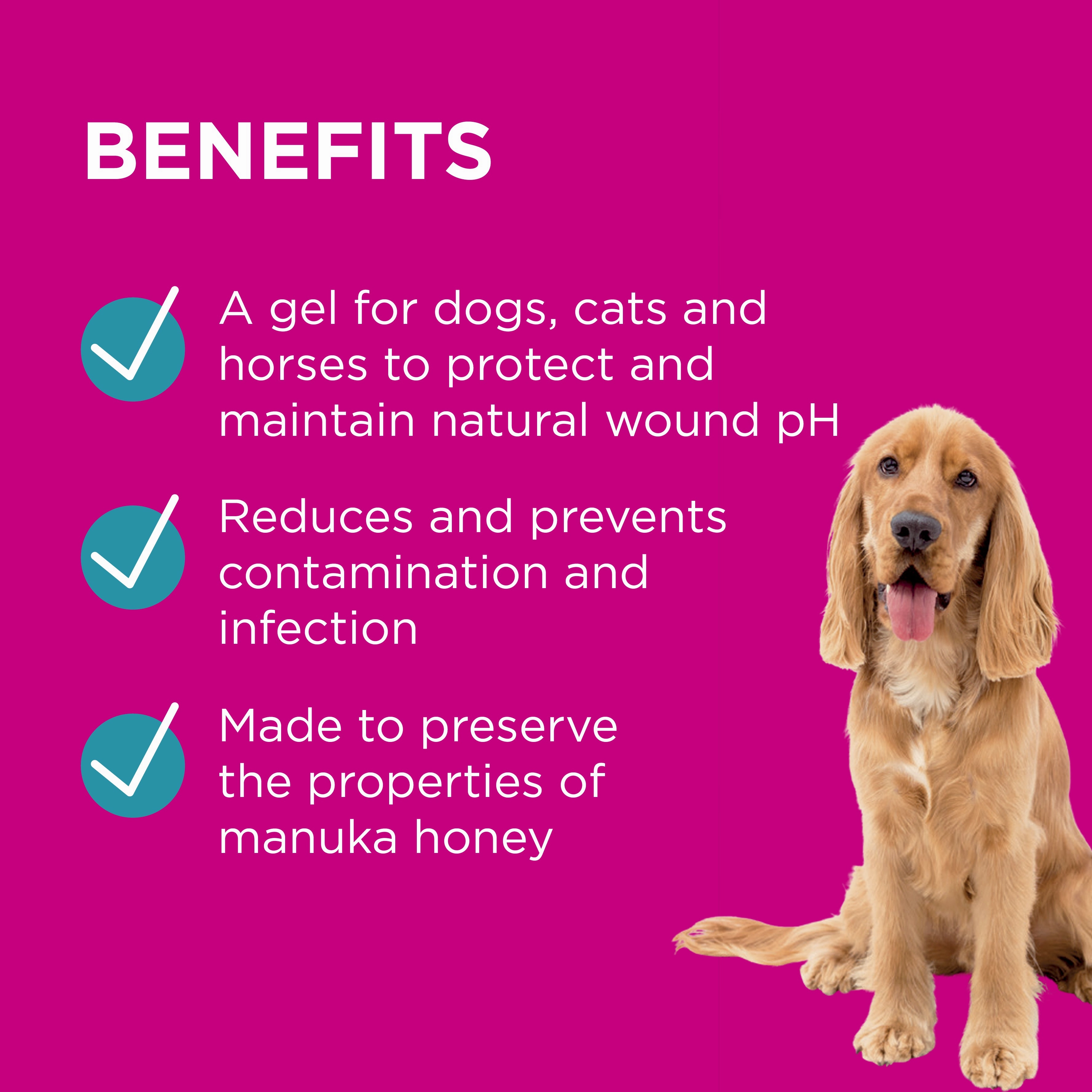 PAW - Manuka Wound Gel for Dogs, Cats and Horses (100g)