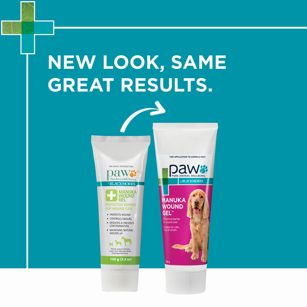 PAW - Manuka Wound Gel for Dogs, Cats and Horses (100g)