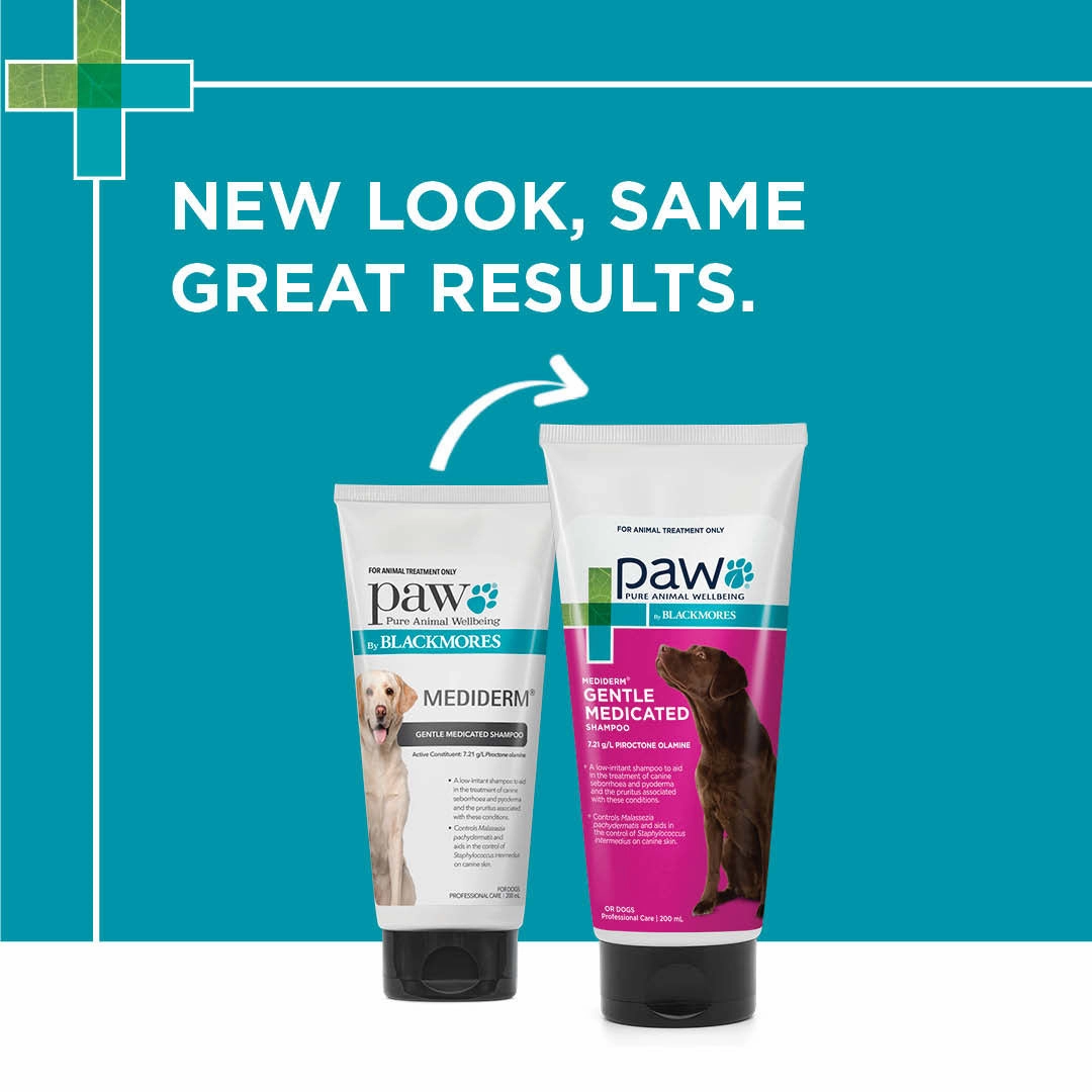 PAW - MediDerm Gentle Medicated Shampoo for Dogs (200ml)