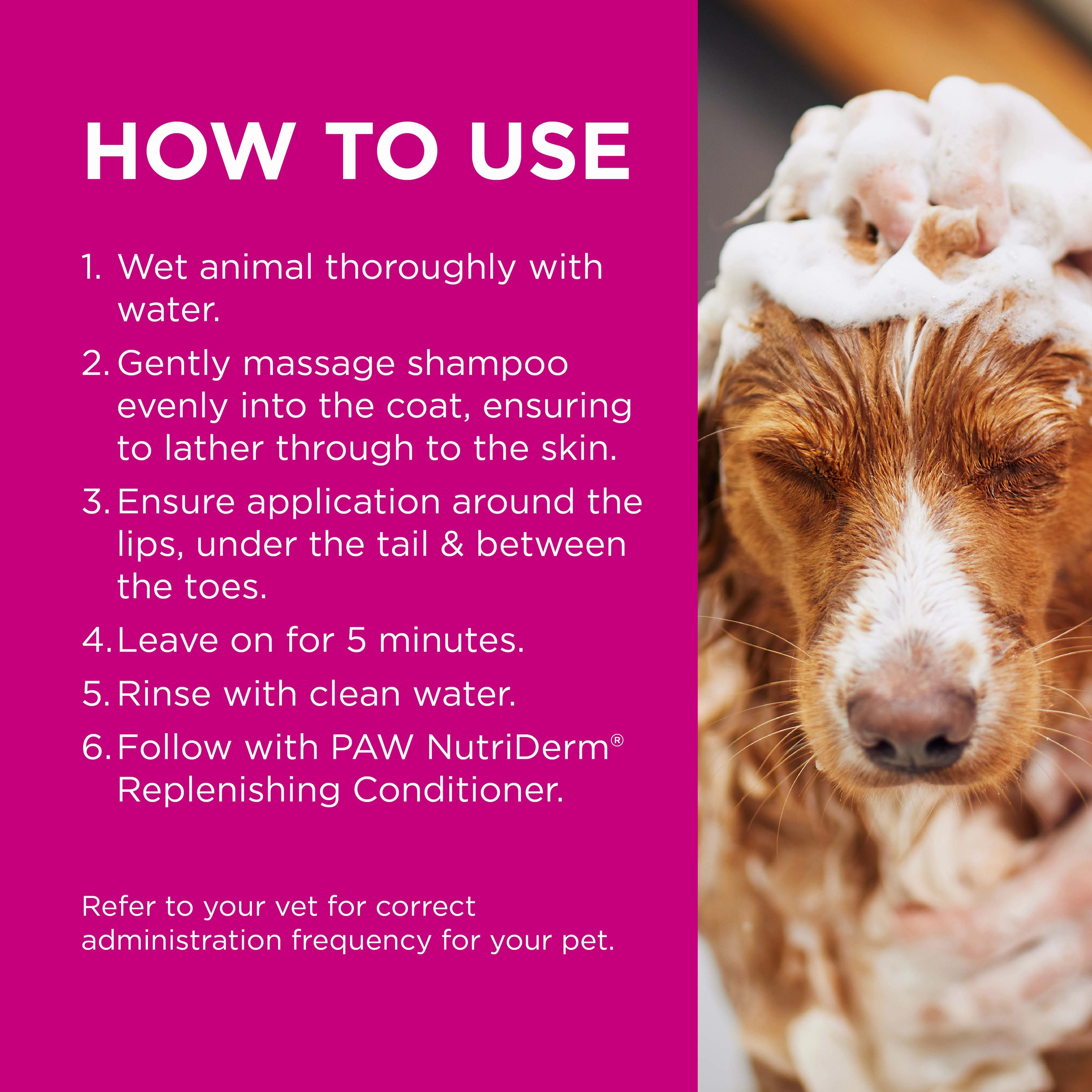 PAW - MediDerm Gentle Medicated Shampoo for Dogs (500ml)
