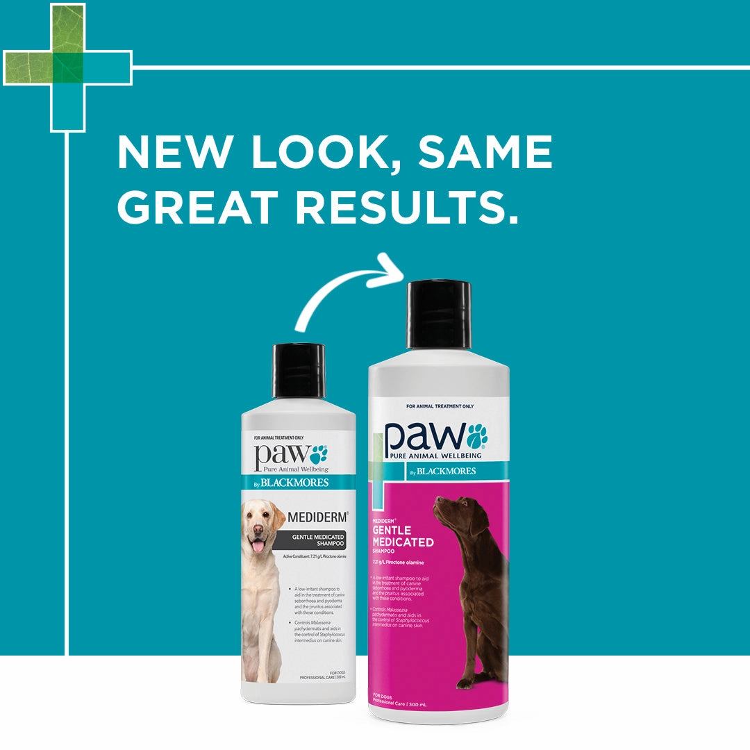 PAW - MediDerm Gentle Medicated Shampoo for Dogs (500ml)