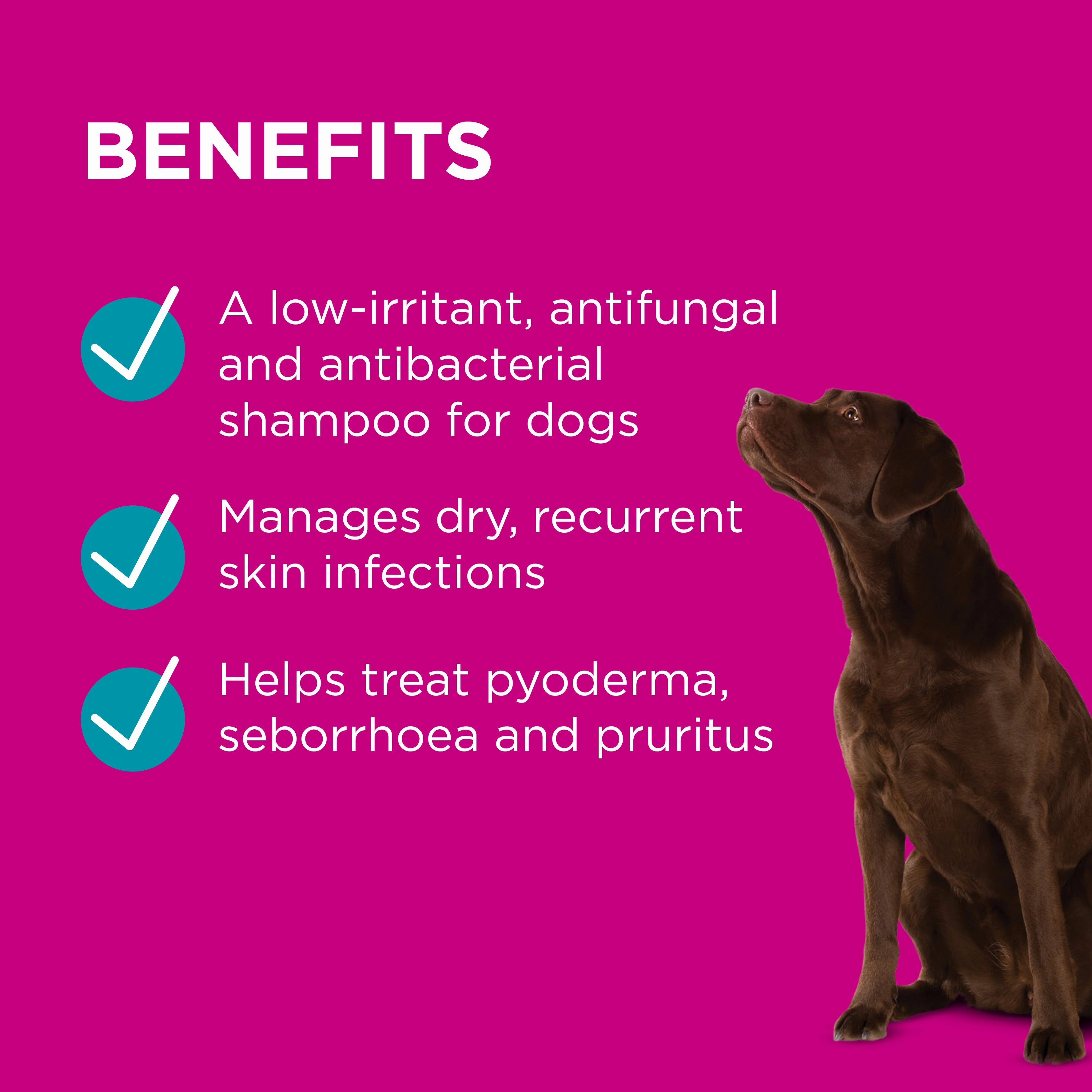 PAW - MediDerm Gentle Medicated Shampoo for Dogs (500ml)