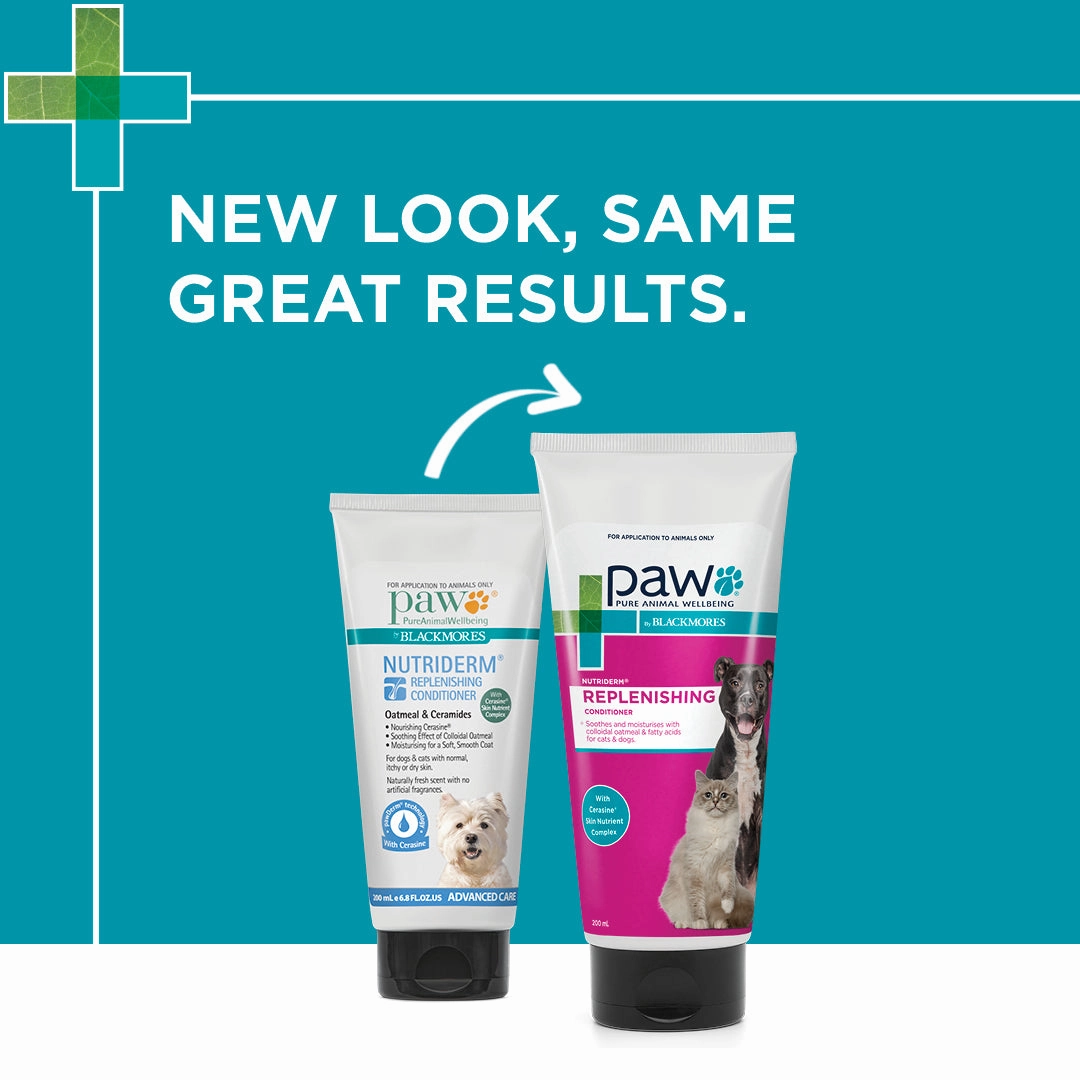 PAW - NutriDerm Replenishing Conditioner for Dogs and Cats (200ml)