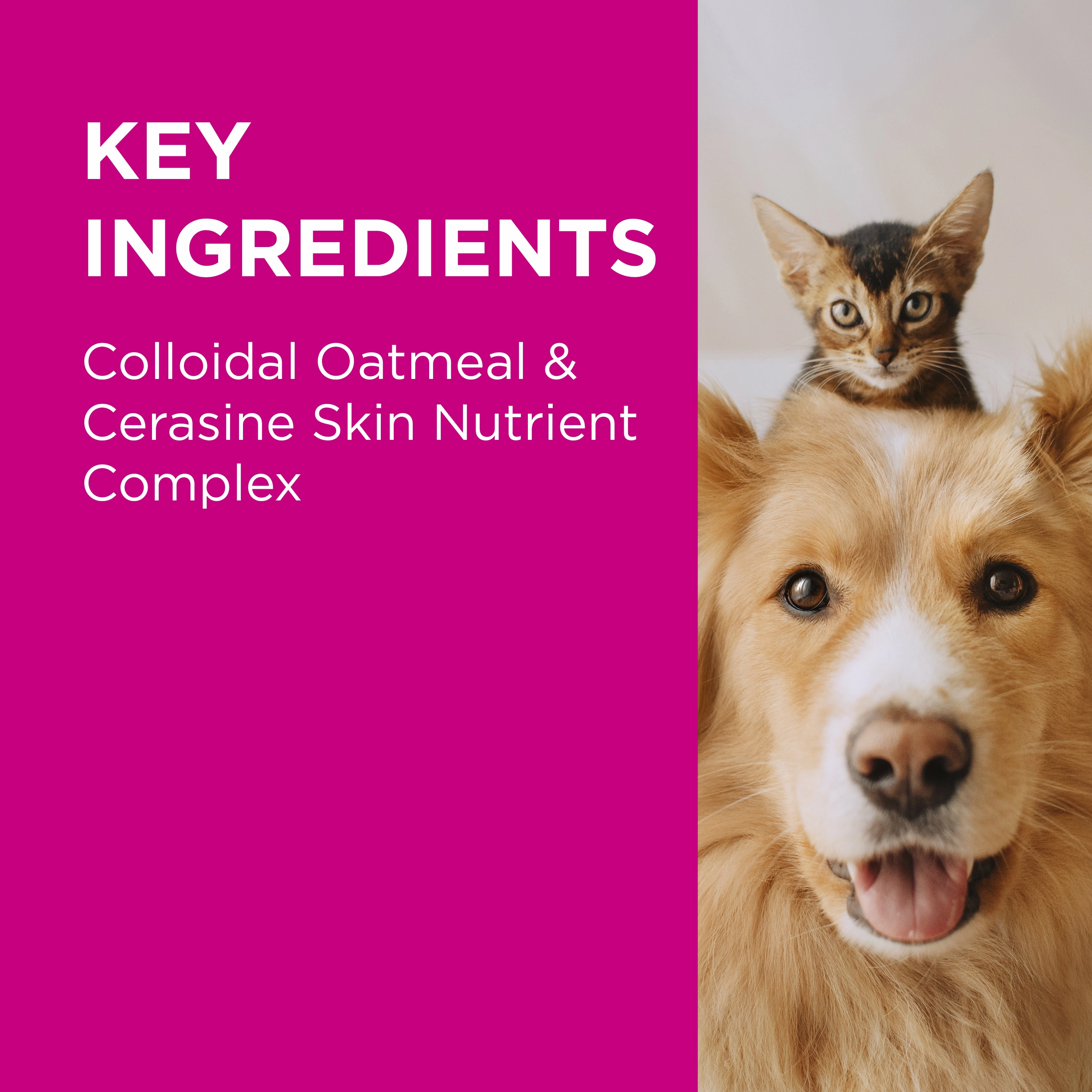 PAW - NutriDerm Replenishing Conditioner for Dogs and Cats (200ml)