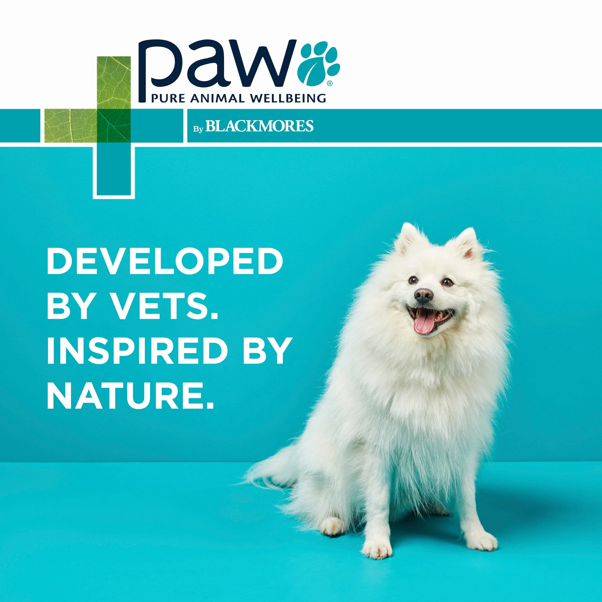 PAW - NutriDerm Replenishing Conditioner for Dogs and Cats (500ml)