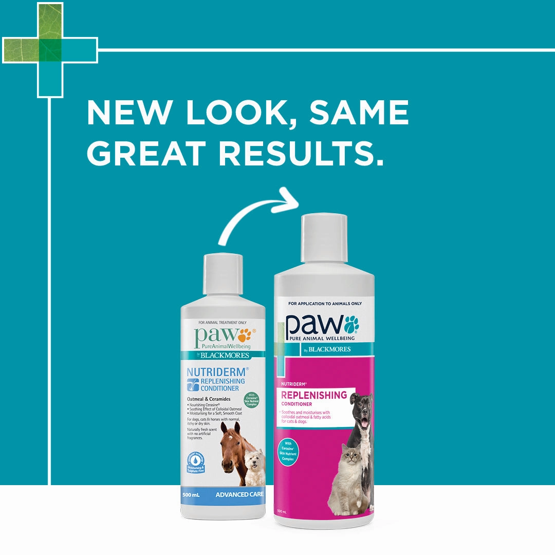 PAW - NutriDerm Replenishing Conditioner for Dogs and Cats (500ml)