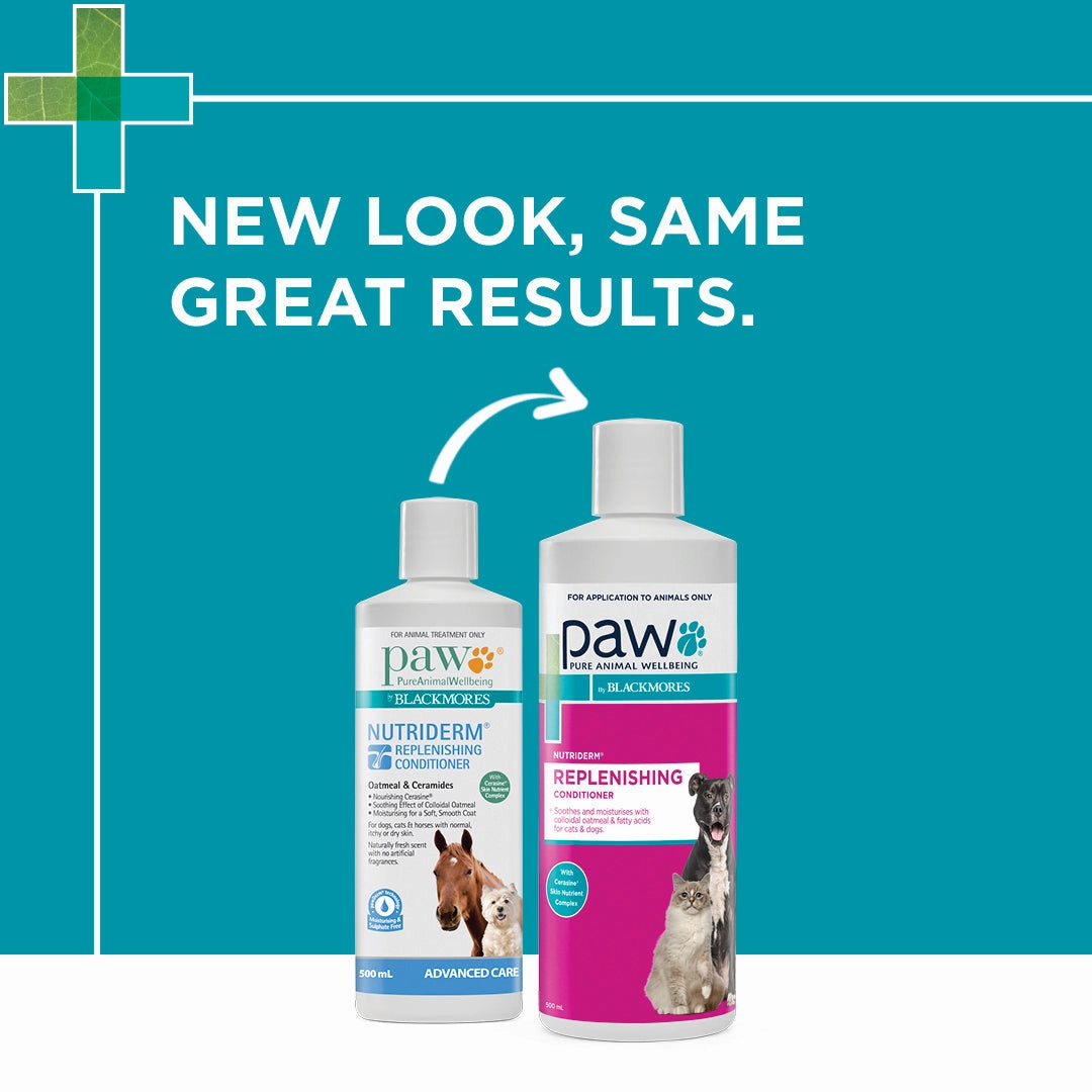 PAW - NutriDerm Replenishing Conditioner for Dogs and Cats (500ml)