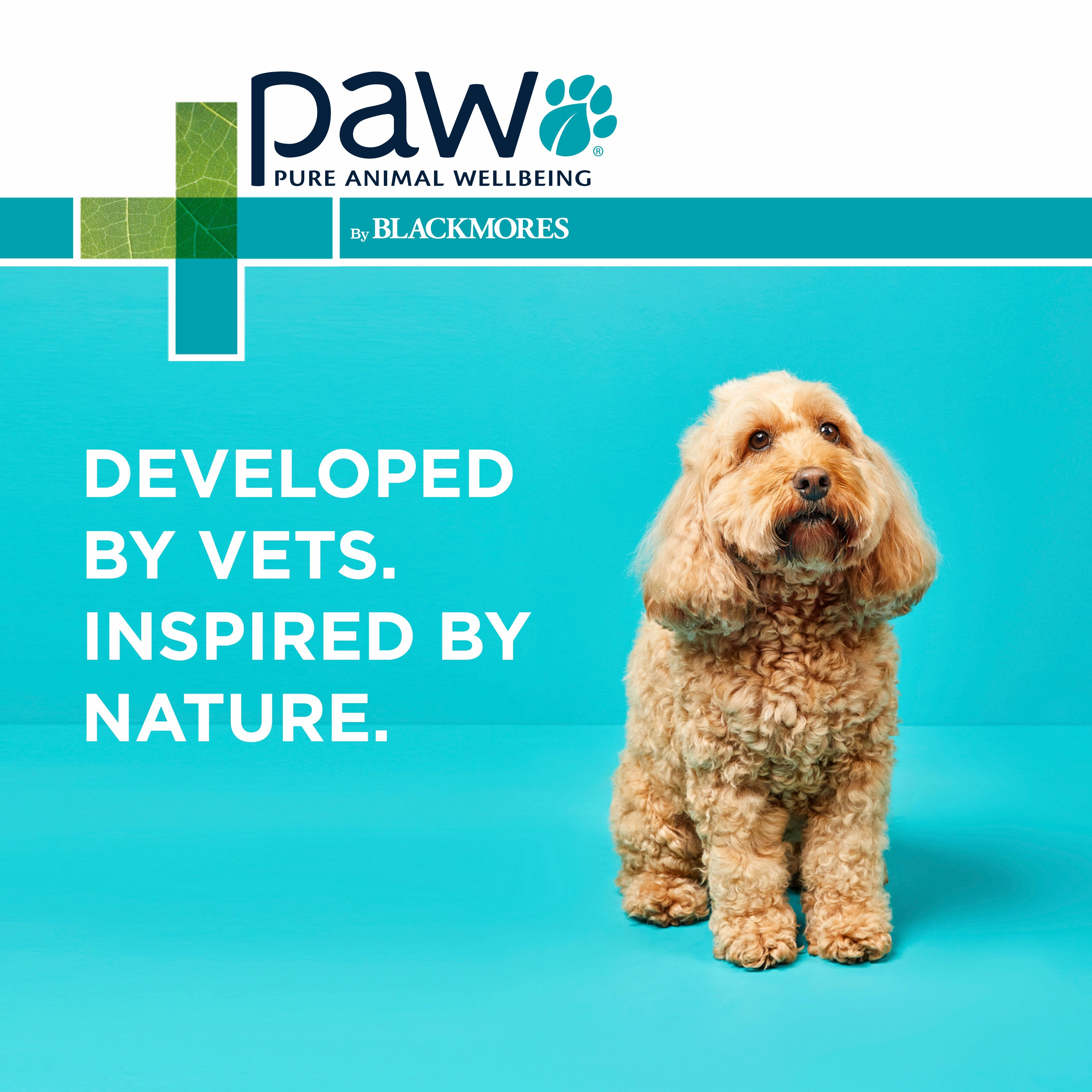 PAW - Osteocare Joint Protect for Dogs (100pk)