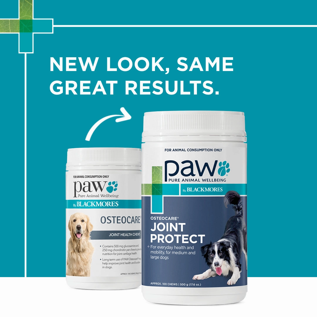 PAW - Osteocare Joint Protect for Dogs (100pk)