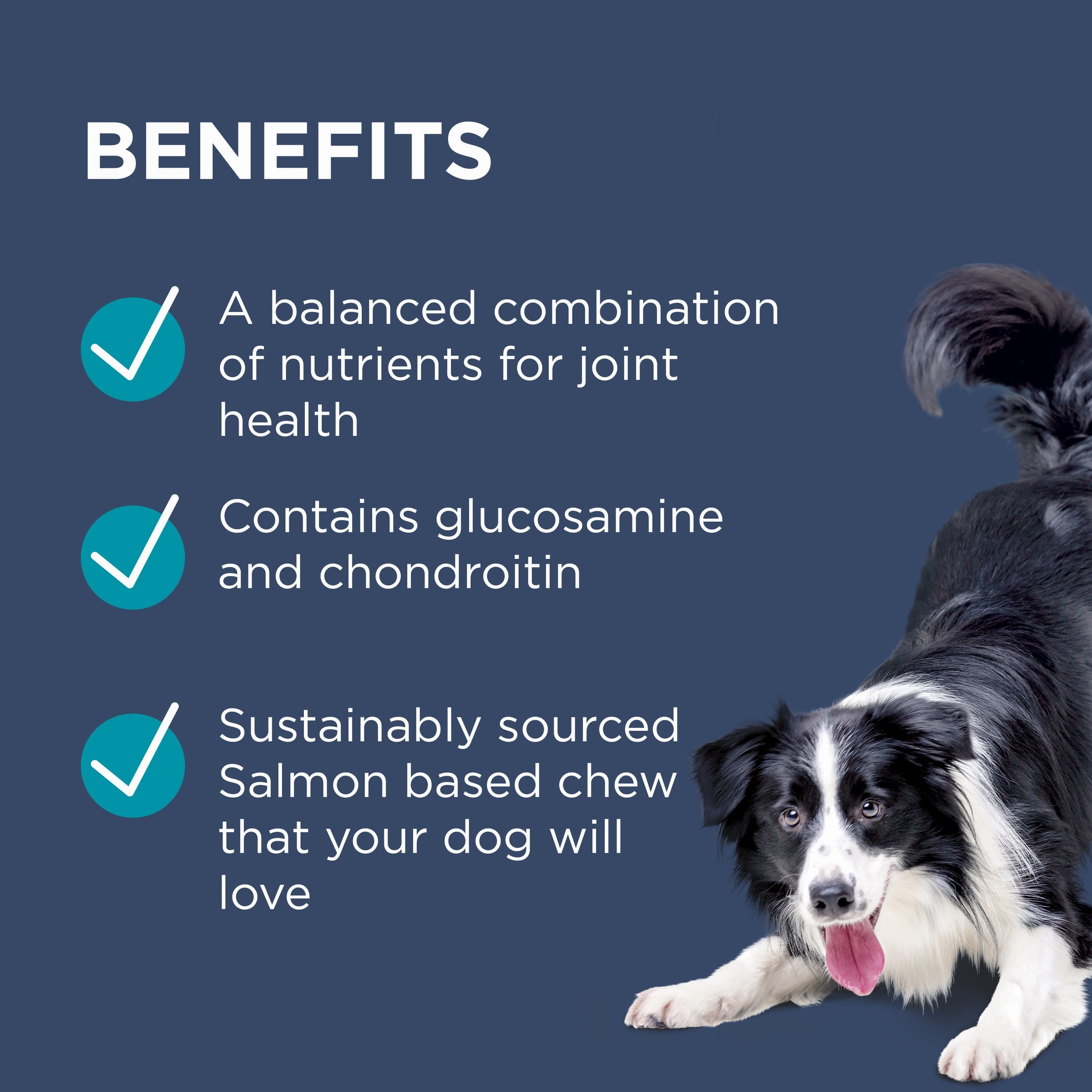 PAW - Osteocare Joint Protect for Dogs (60pk)