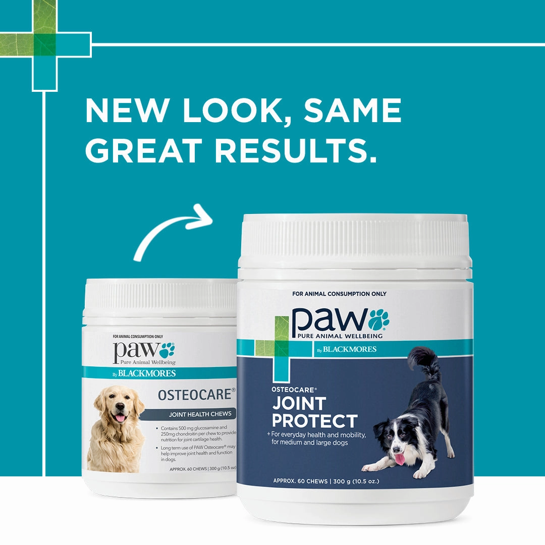 PAW - Osteocare Joint Protect for Dogs (60pk)