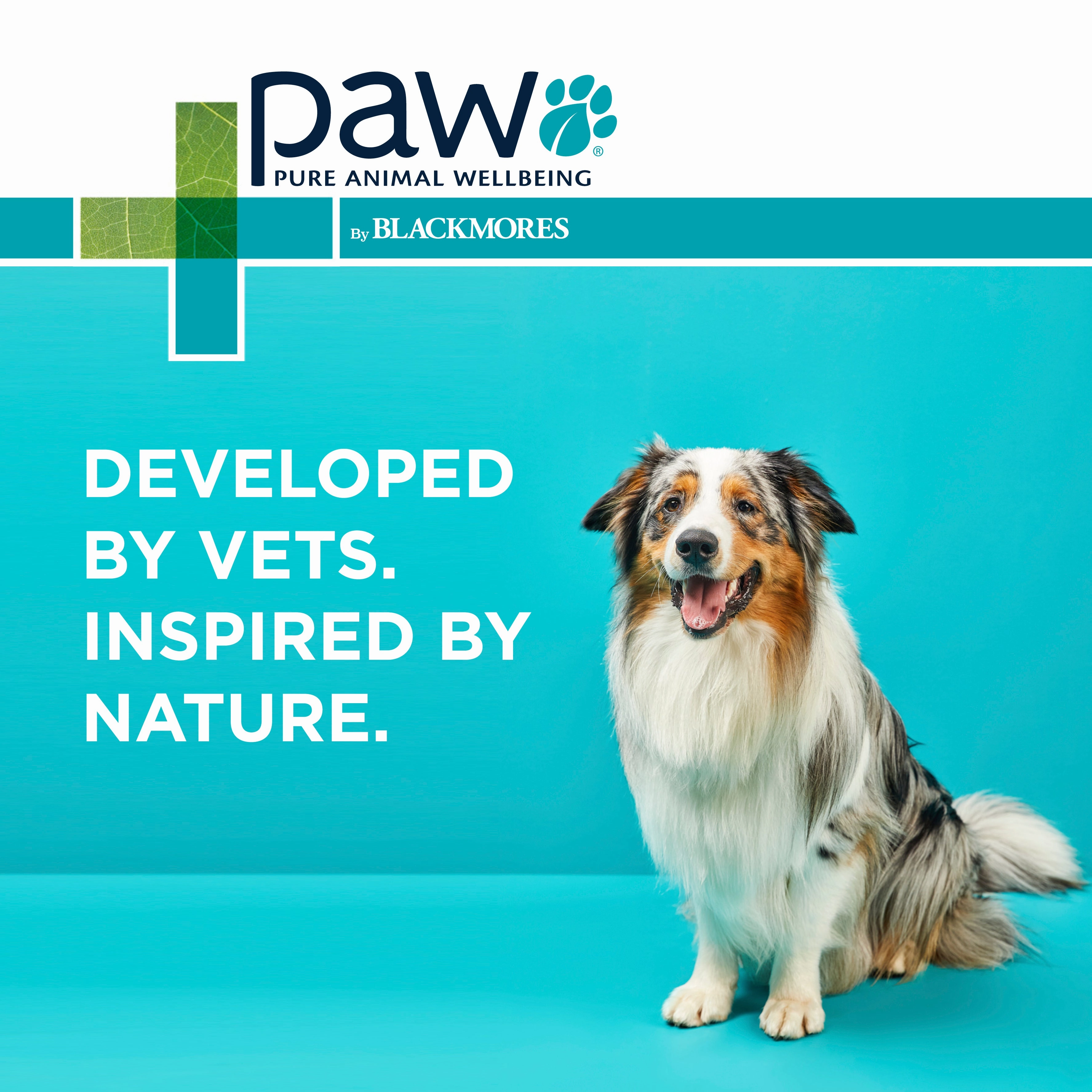 PAW - Osteosupport Joint Care Powder for Dogs (150pk)
