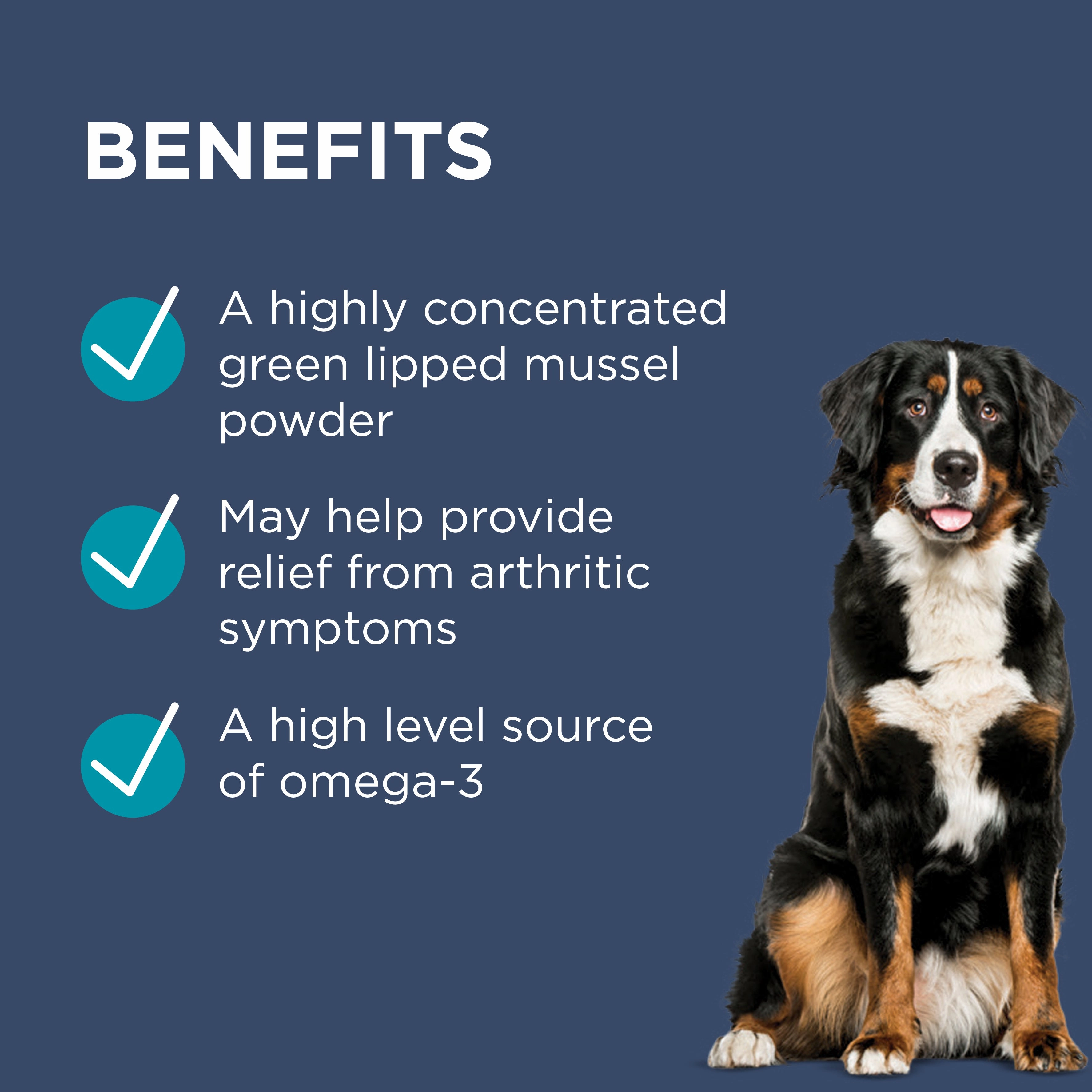 PAW - Osteosupport Joint Care Powder for Dogs (150pk)