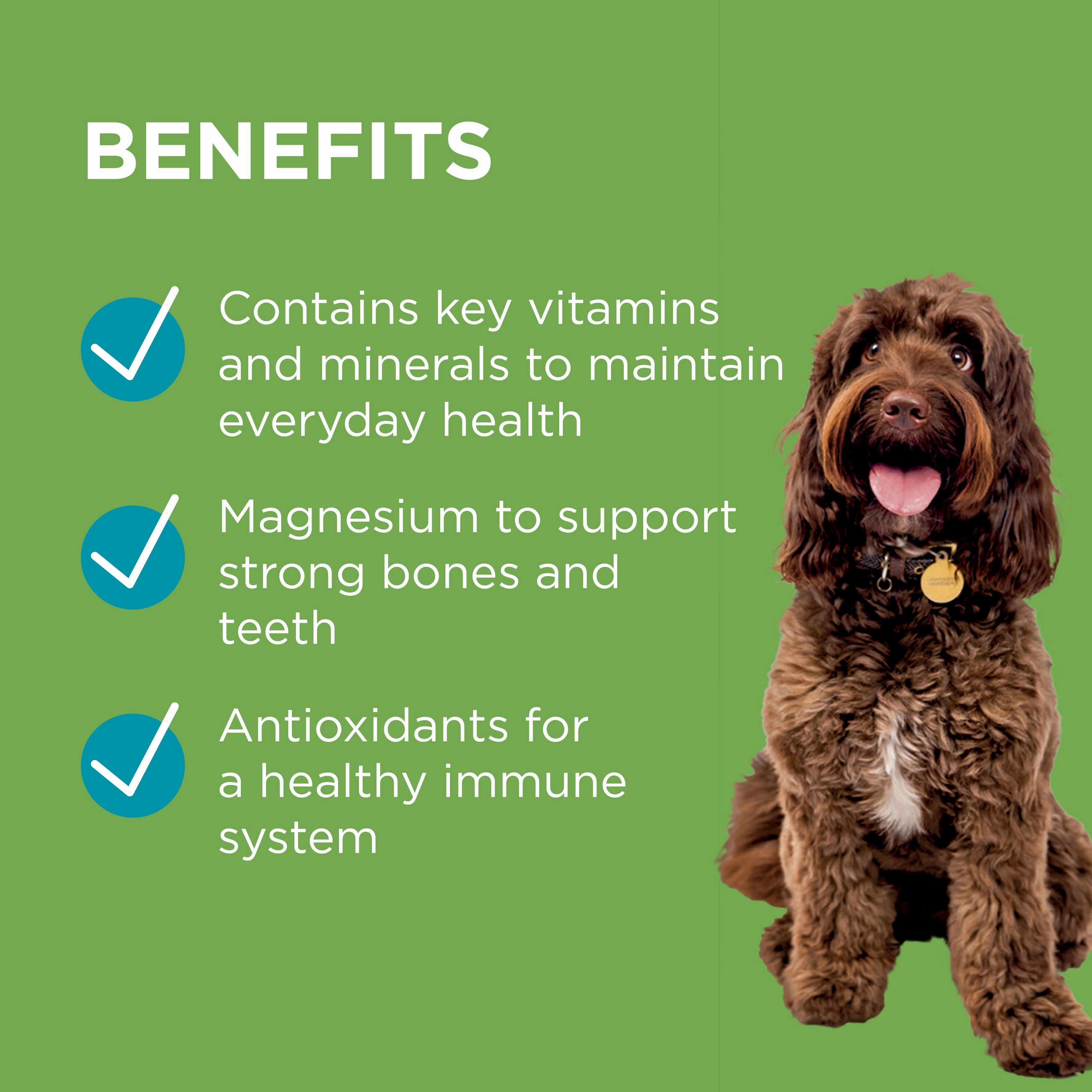 PAW - Wellness and Vitality Multivitamins for Dogs (60pk)